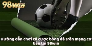 hướng dẫn chơi cá cược bóng đá